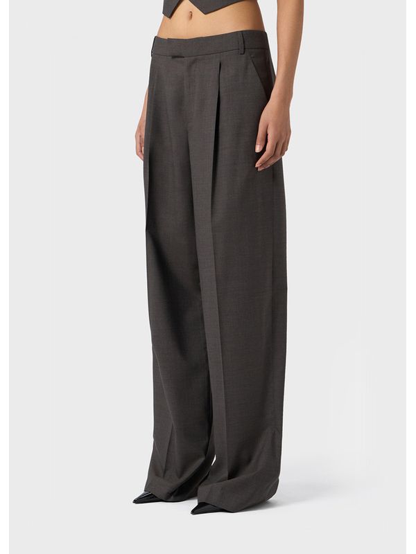 Wide Pleated
  Wool Pants