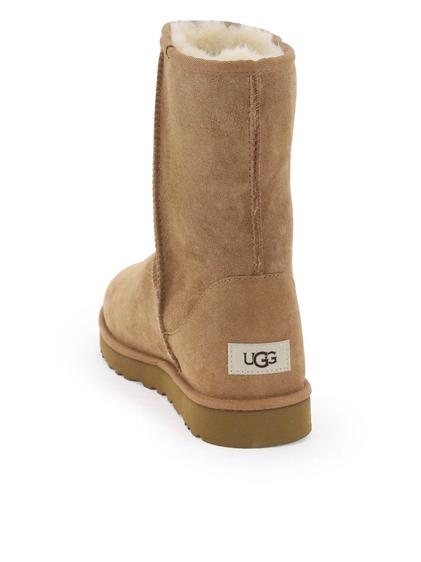 Ugg 经典短款 Ugg 靴