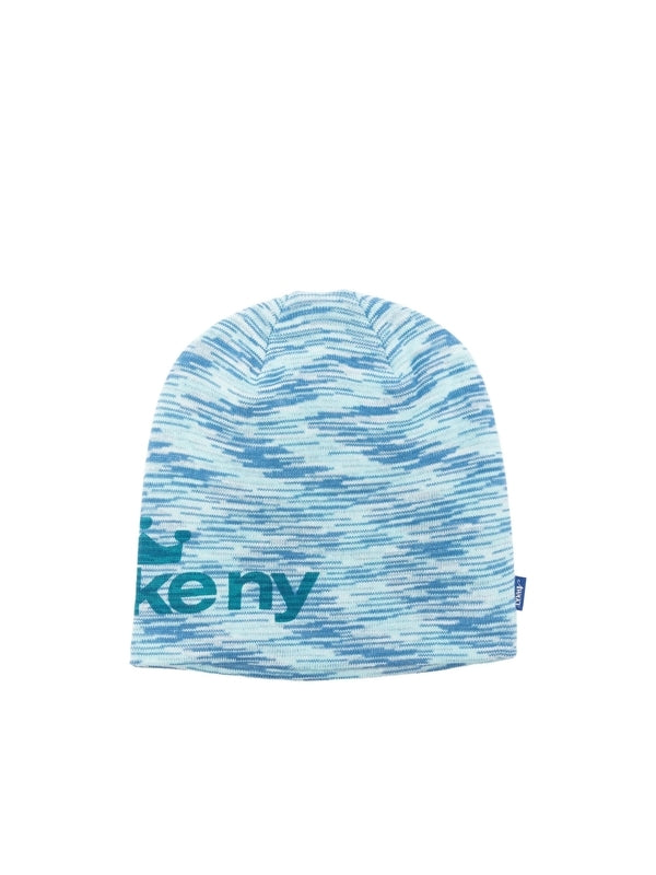 A.W.A.K.E. Mode Blue Beanies