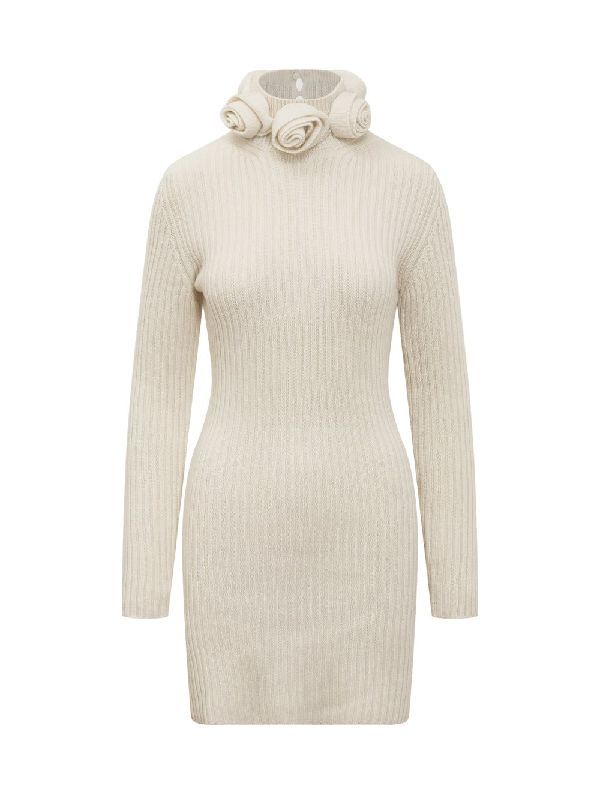 Roll Neck Wool Knit Dress