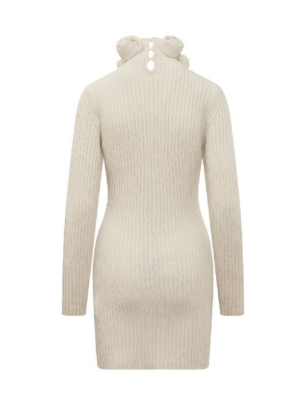 Roll Neck Wool Knit Dress