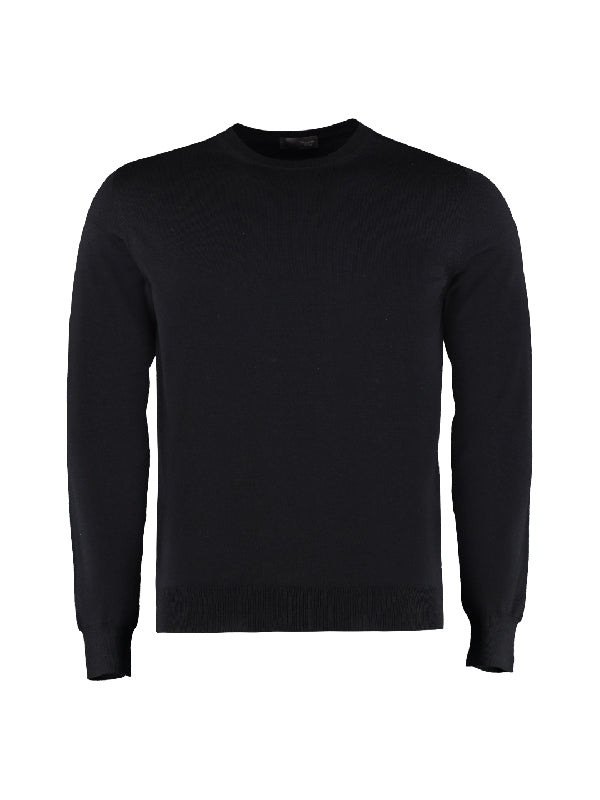 Crewneck Merino Wool Knit