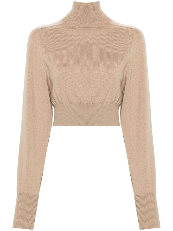 Wool Ribbed Turtleneck Knit