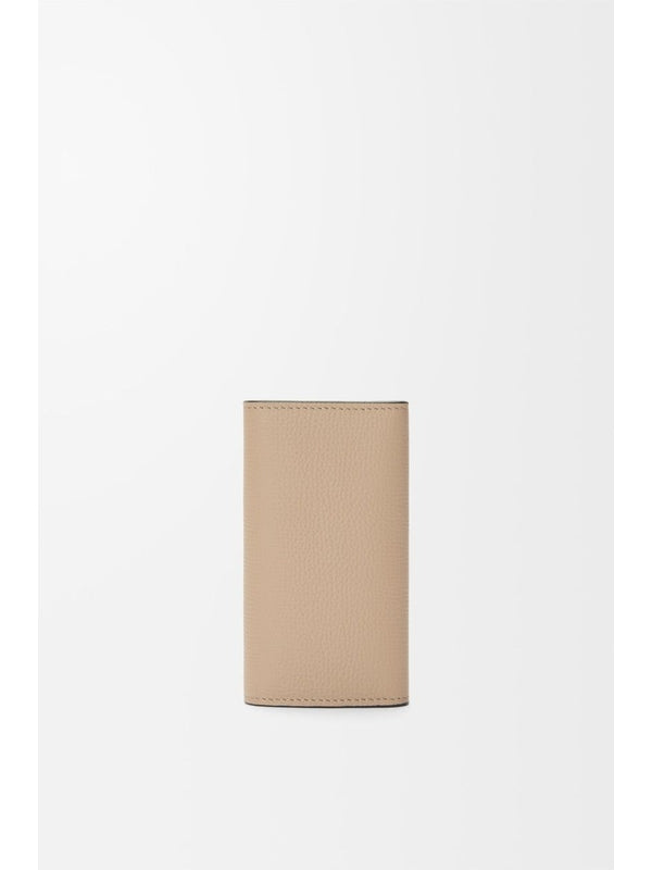 Loewe Beige Other Cases