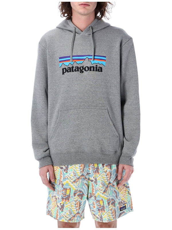 Patagonia Gray Hoodie