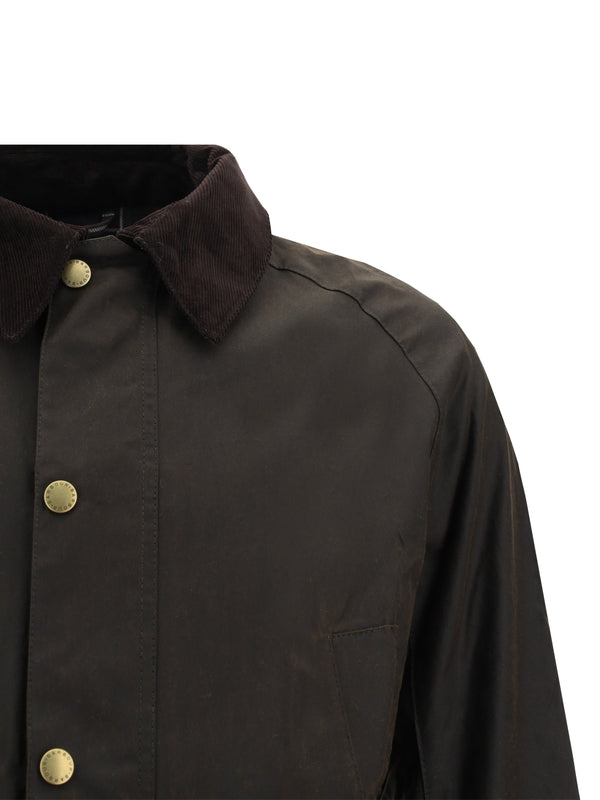 Ashby Cotton Jacket