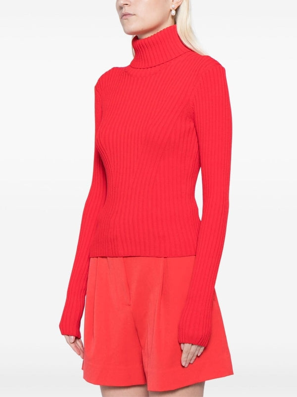 Ribbed High Neck Knit