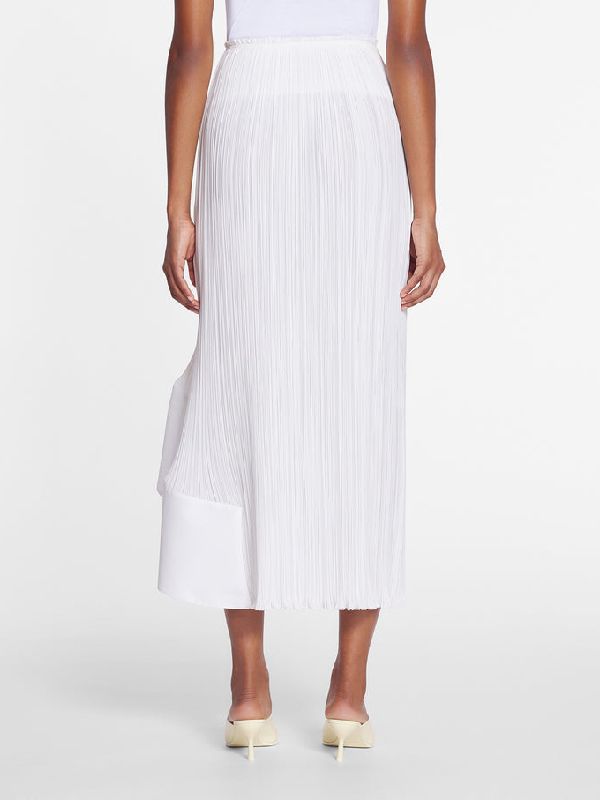 Allover Pleats Flare Skirt