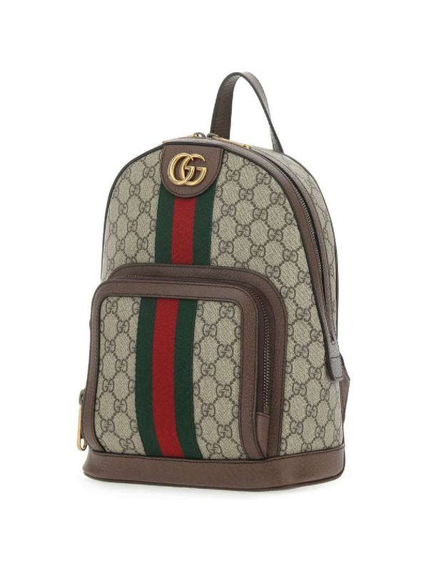 Ophidia GG Web Detail Backpack
  Mini