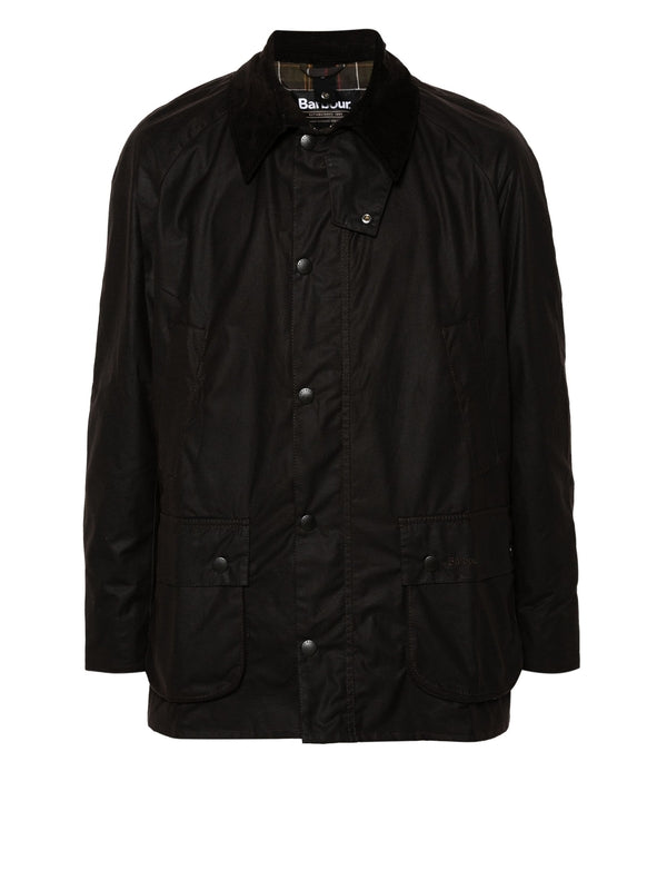 ashby cotton jacket