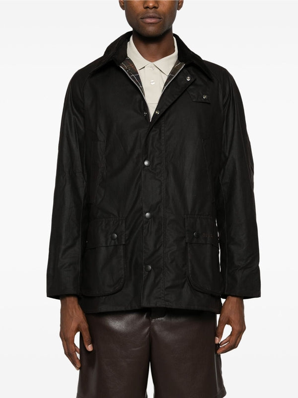 ashby cotton jacket