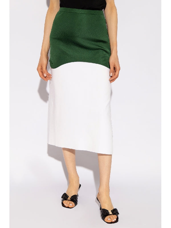 Colorblock
  Layered Skirt