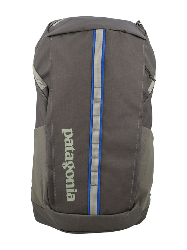 Patagonia Khaki Backpack
