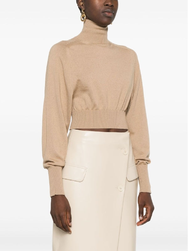 Wool Ribbed Turtleneck Knit