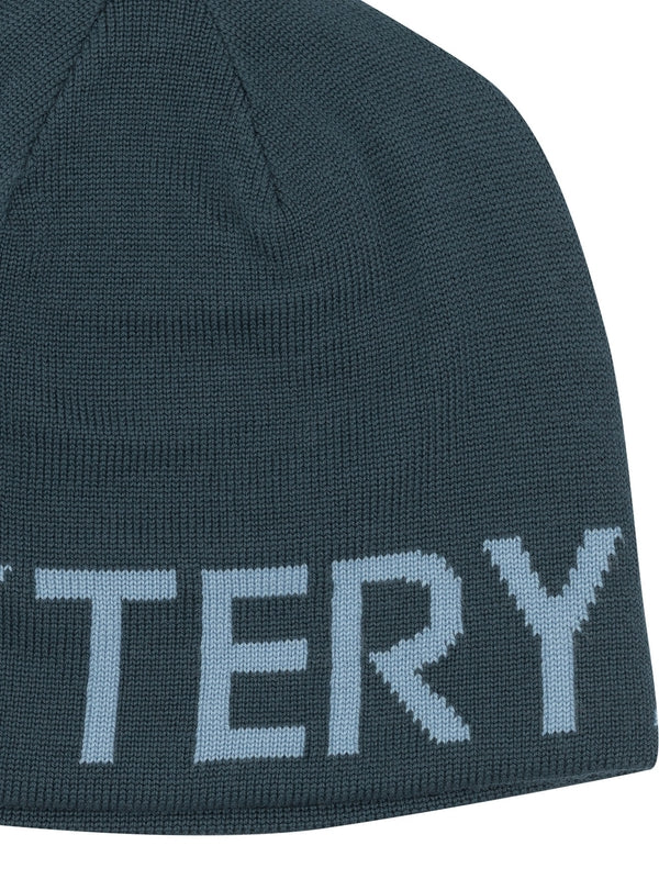 Arc'Teryx Blue Beanies