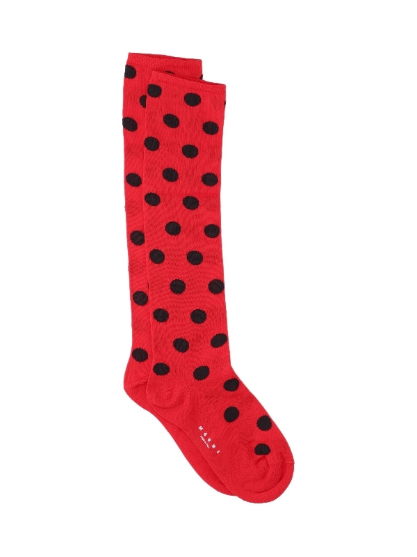 Polka Dot Logo Long Socks