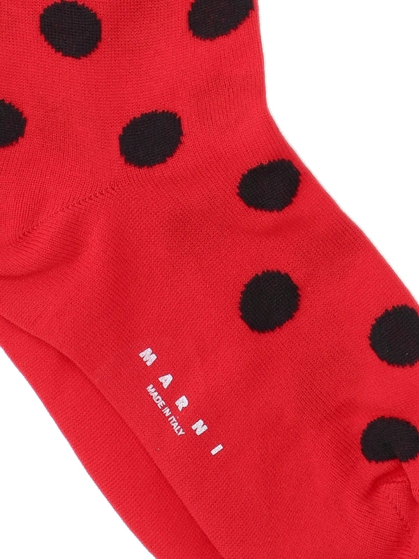 Polka Dot Logo Long Socks