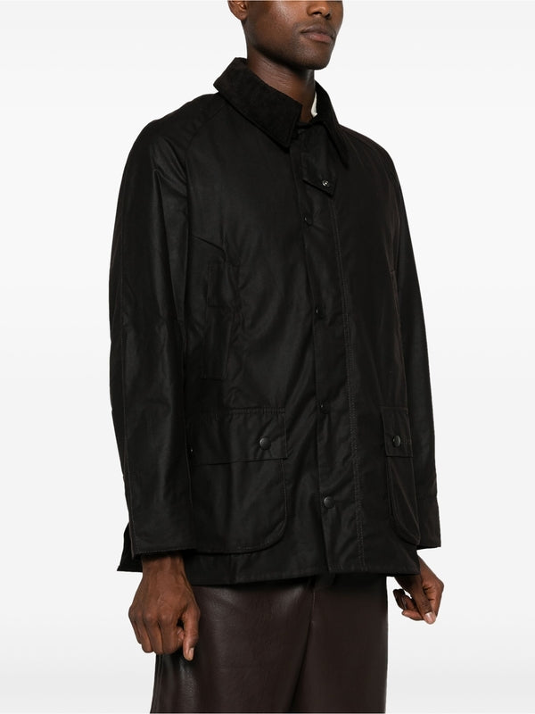 ashby cotton jacket