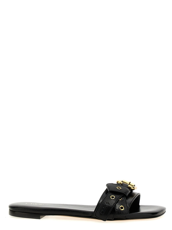 Buckle Strap
  Band Slide