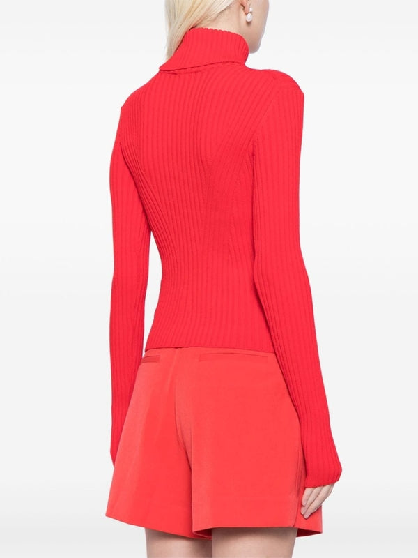 Ribbed High Neck Knit