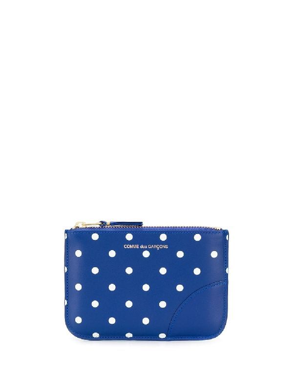 Polka Dot Coin Wallet