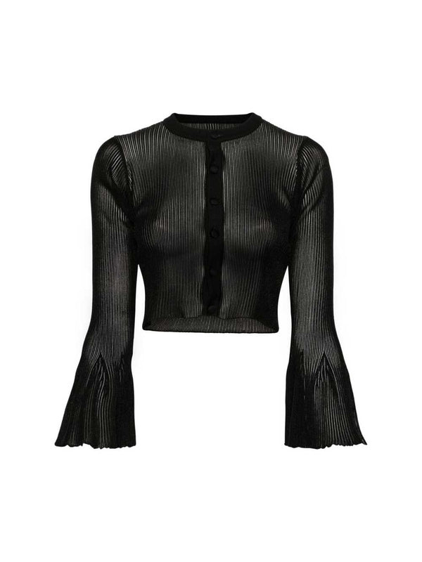 Semi-Sheer Flare Long Sleeve Top