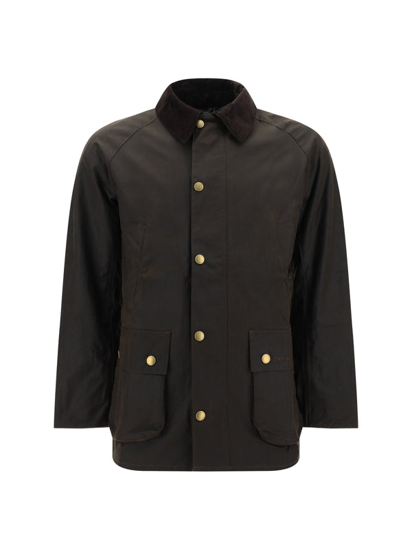 Ashby Cotton Jacket