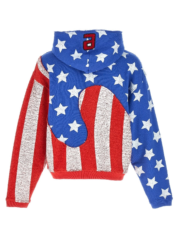 Flag Print Swirl Panel Hoodie