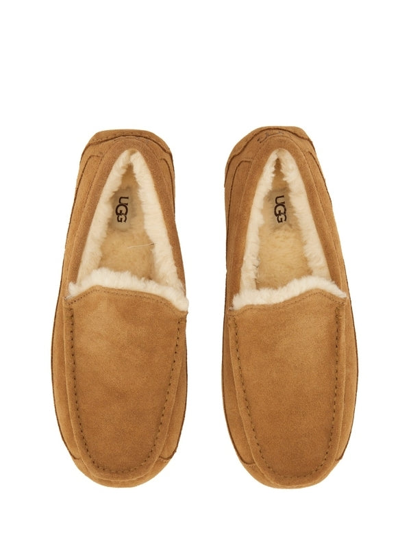 Ugg Brown Loafers