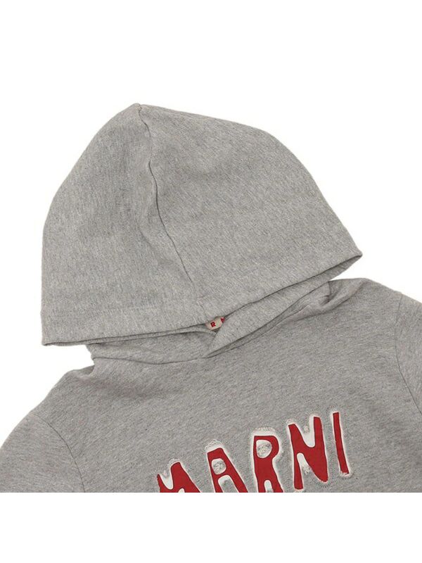 Logo Printing Hood