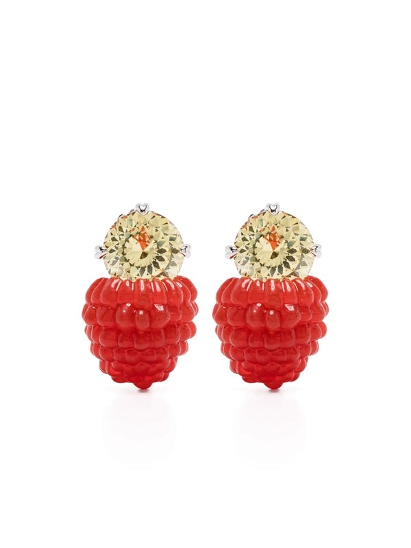 Yvmin Red Earrings