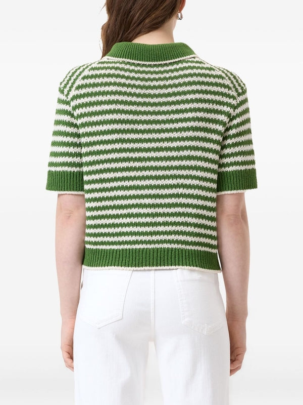 Stripe Knit
  Short Sleeve Shirt