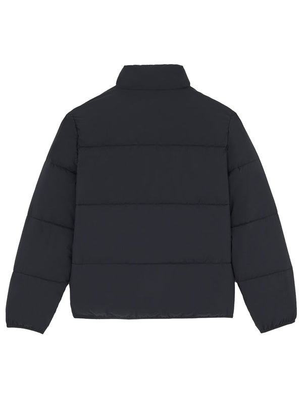 Dickies Black Padding