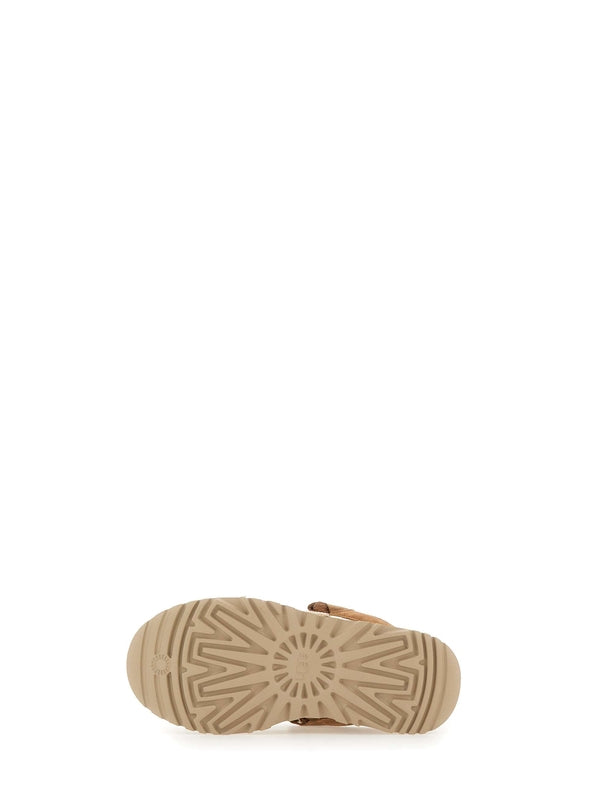 Ugg Brown Low Top Sneakers