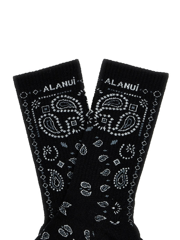 Paisley
  Pattern Socks