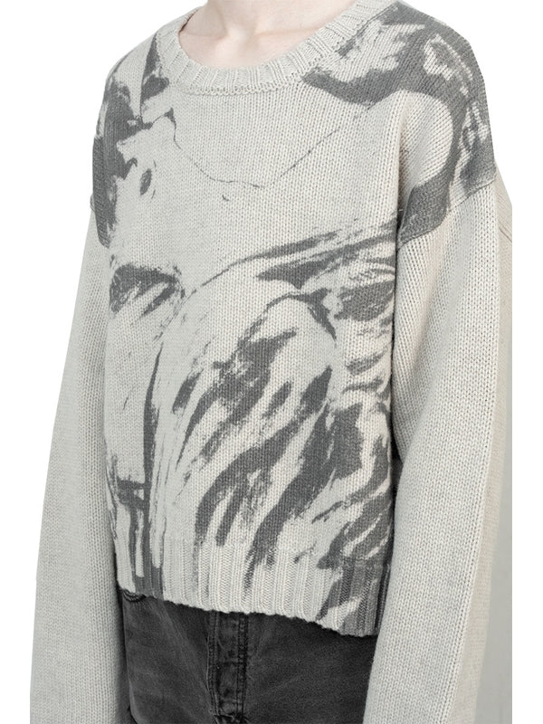 Graphic Printing Crewneck Knit