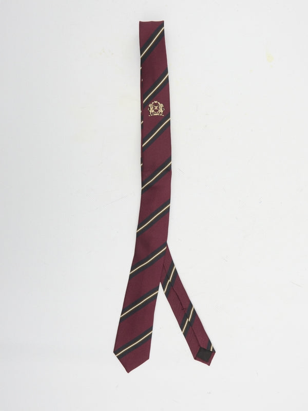 Triomphe Silk Necktie