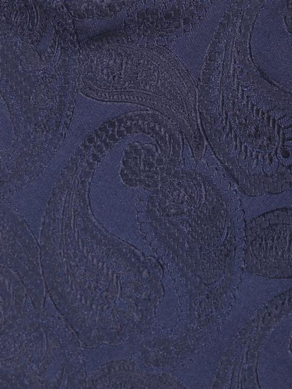 Paisley Embroidery Silk
  Tie