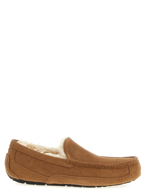 Ugg Brown Driving Shoes